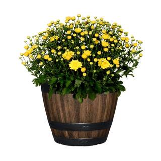 Vigoro 12.8 in. Reedley Medium Kentucky Walnut Brown Resin Barrel Planter (12.8 in. D x 10.5 in. H) HD1403-037R