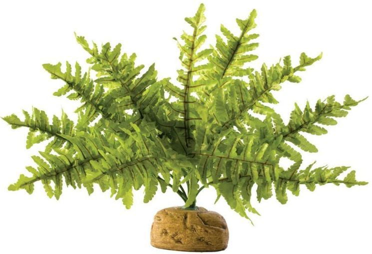 Exo Terra Boston Fern Terrarium Plant Small - 1 count Pack of 2