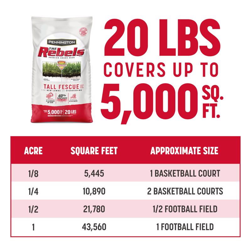 REBEL TALL FESCUE 20 LB