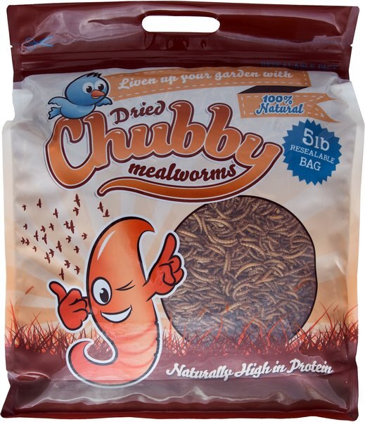 Chubby Mealworms Dried Mealworms