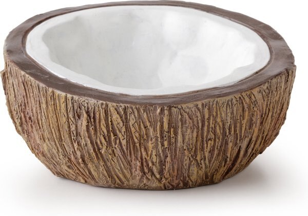 Exo Terra Coconut Reptile Water Dish