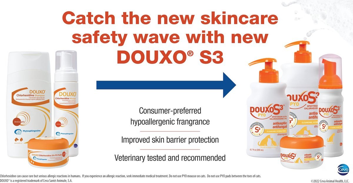 Douxo S3 PYO Antiseptic Antifungal Chlorhexidine Dog and Cat Shampoo