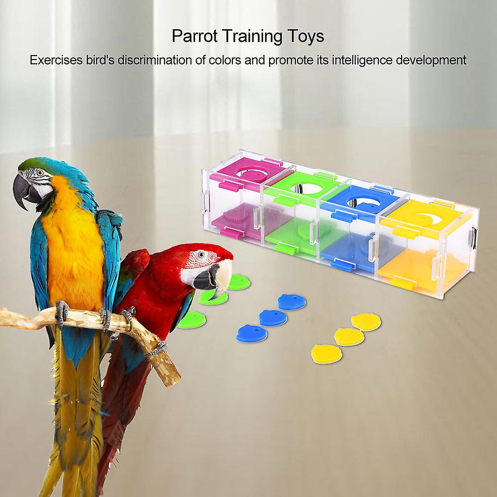 Colorful Parrot Toys Interesting Birds Intelligence Training Interactive Playing Puzzle Toy