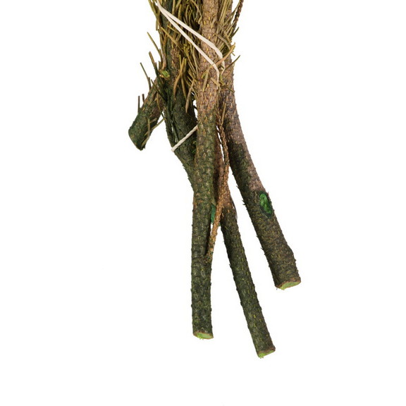 Vickerman 12 16 Brunia Stems 8oz