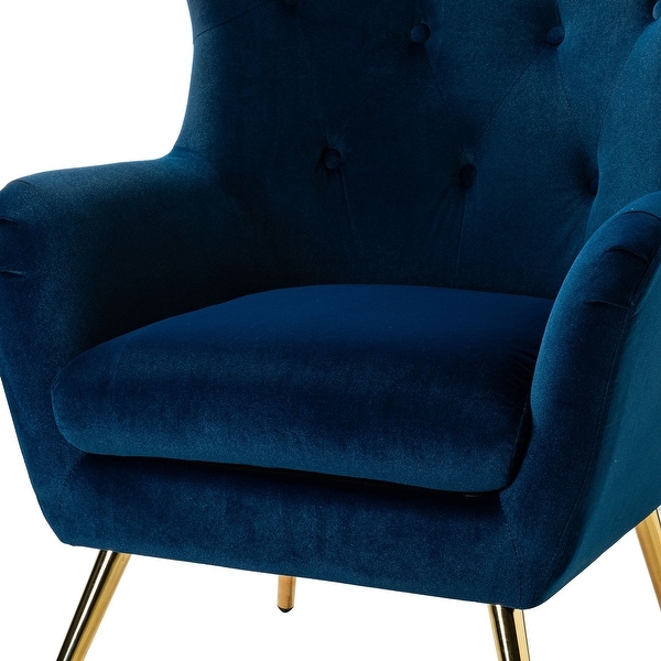 Eusebio Tufted Velvet Accent Chair with Wingback and Metal Gold Legs for Living Room Set of 2 by HULALA HOME