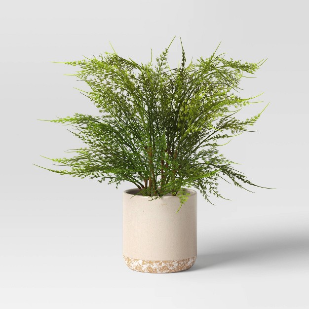 Small Artificial Asparagus Fern - Threshold