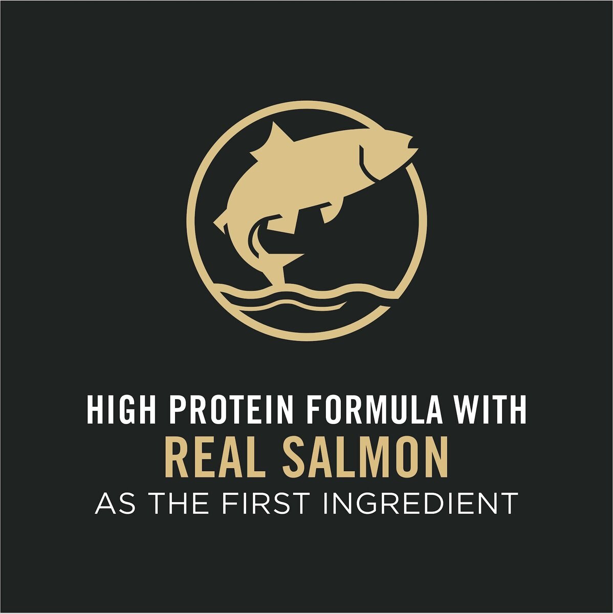 Purina Pro Plan Adult Salmon and Rice Formula Dry Cat Food