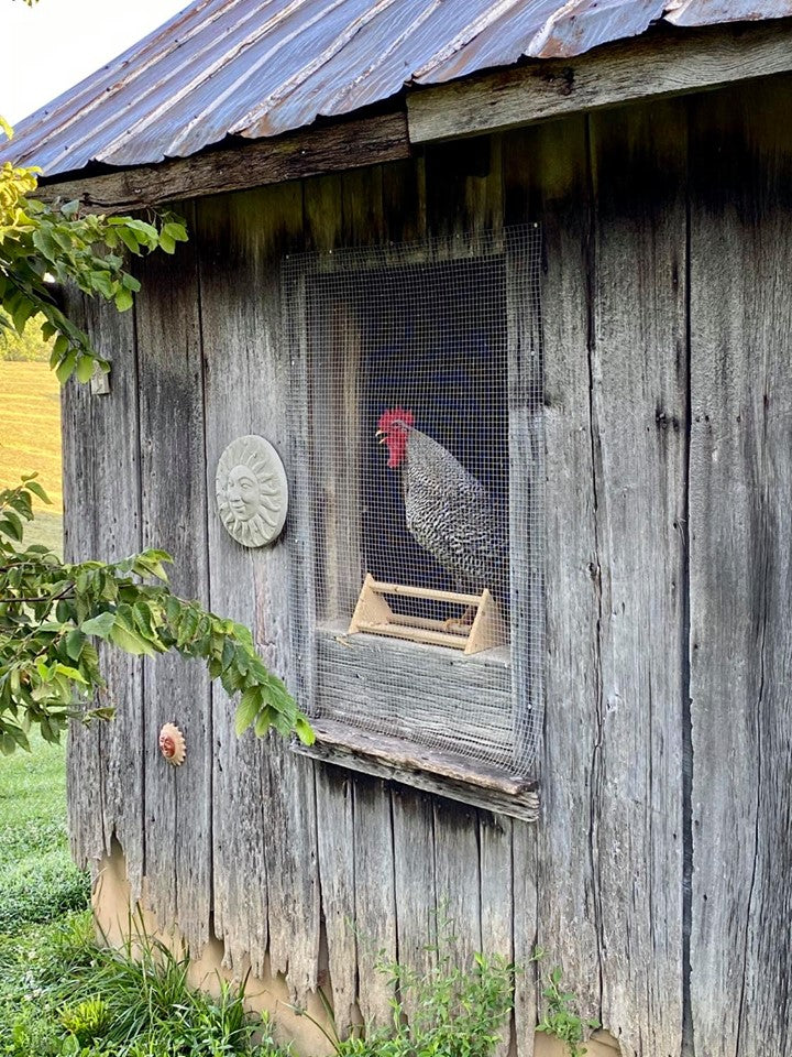 Chicken Perch Strong Wooden Roosting Bar Made in USA Solid Accessories and Toys for Coop and Brooder for Large Bird Baby Chicks Pollos Gallinas Polluelos Parrots by Backyard Barnyard