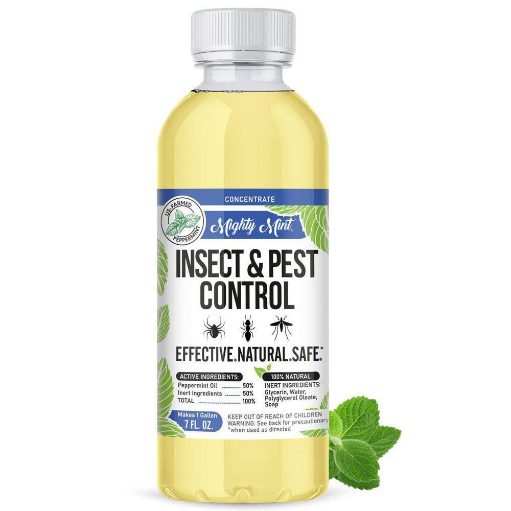 Mighty Mint 8 oz. Insect and Pest Control Peppermint Concentrate - Makes a Gallon - Natural Spray for Spiders Ants and More IC-8