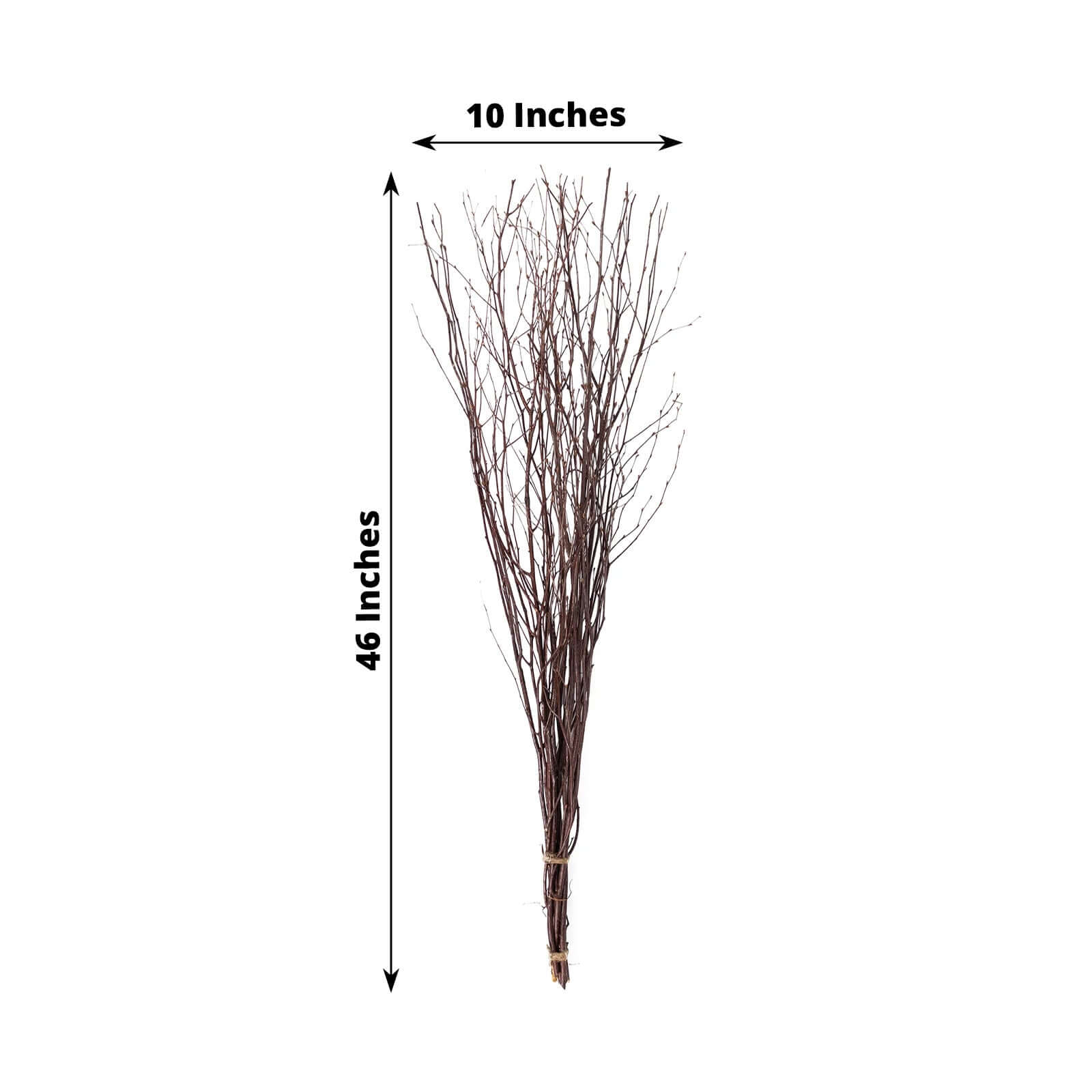 6 Pack Natural Decorative Birch Tree Branches, Extra Long Natural Dried Willow Twigs Sticks Vase Fillers - 46