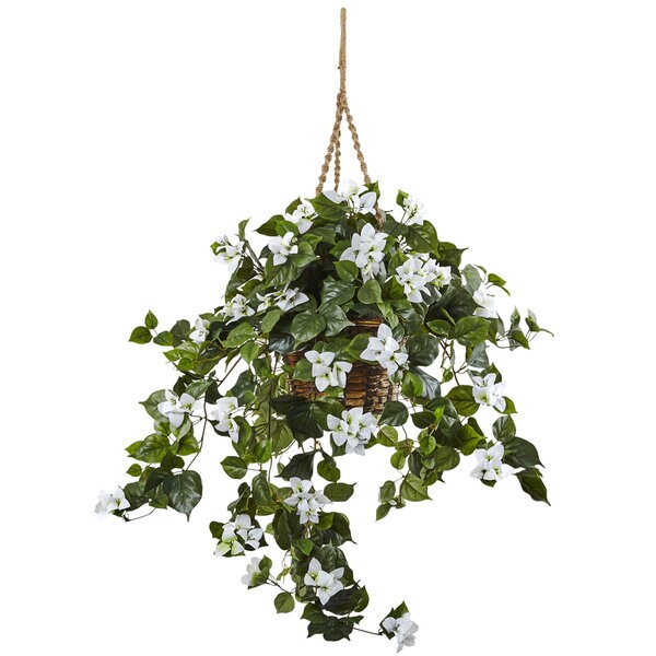 Bougainvillea 28inch Hanging Basket