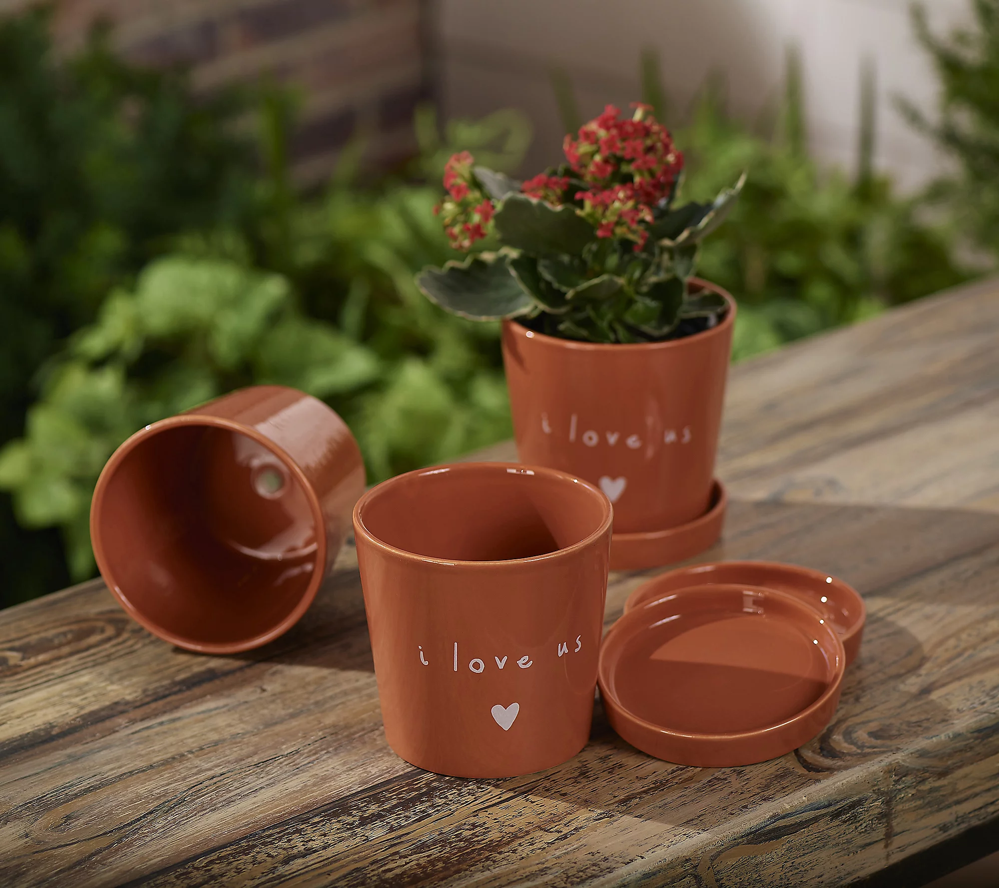 Peace Love World S 3 Ceramic 4.5 Planters with Trays