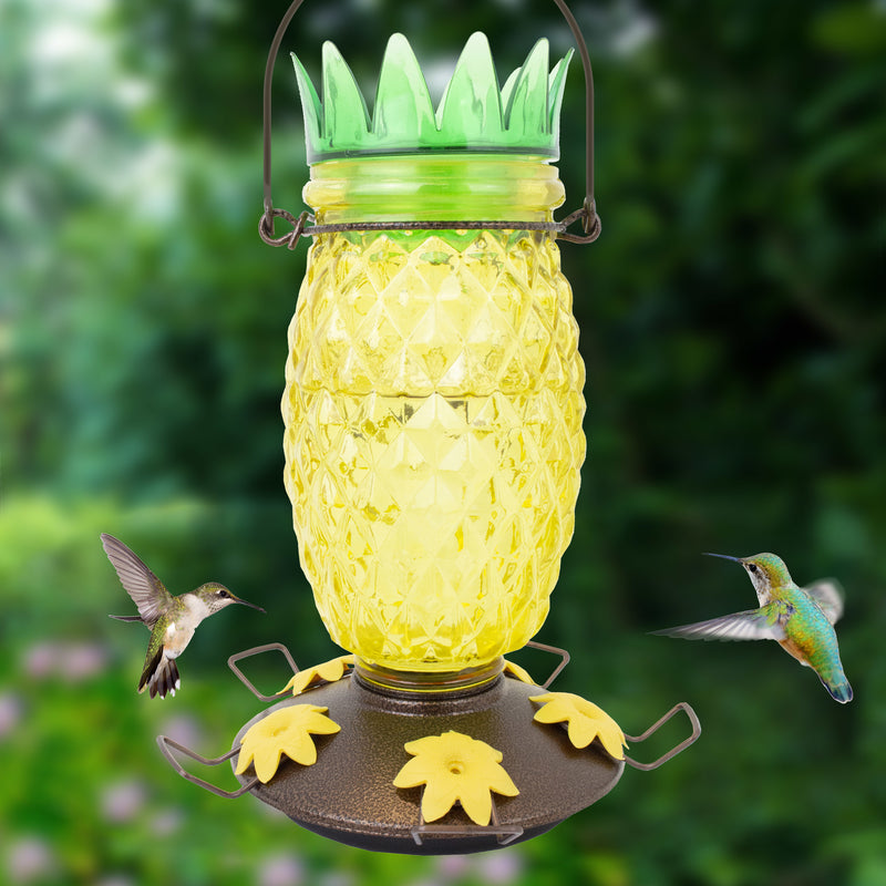 PINEAPPLE BIRD FEEDER