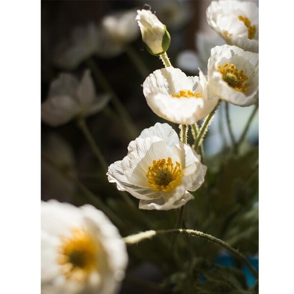 RusticReach Silk Common Poppy Flower Stem in Pink or White 22 Tall