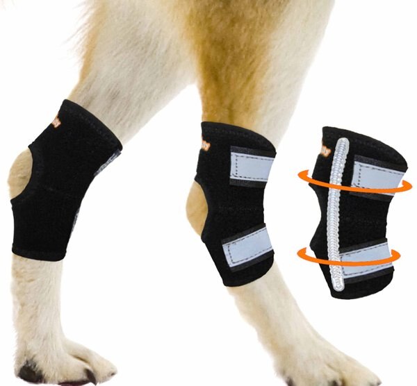 NeoAlly Back Hock Metal Spring Support Dog Brace