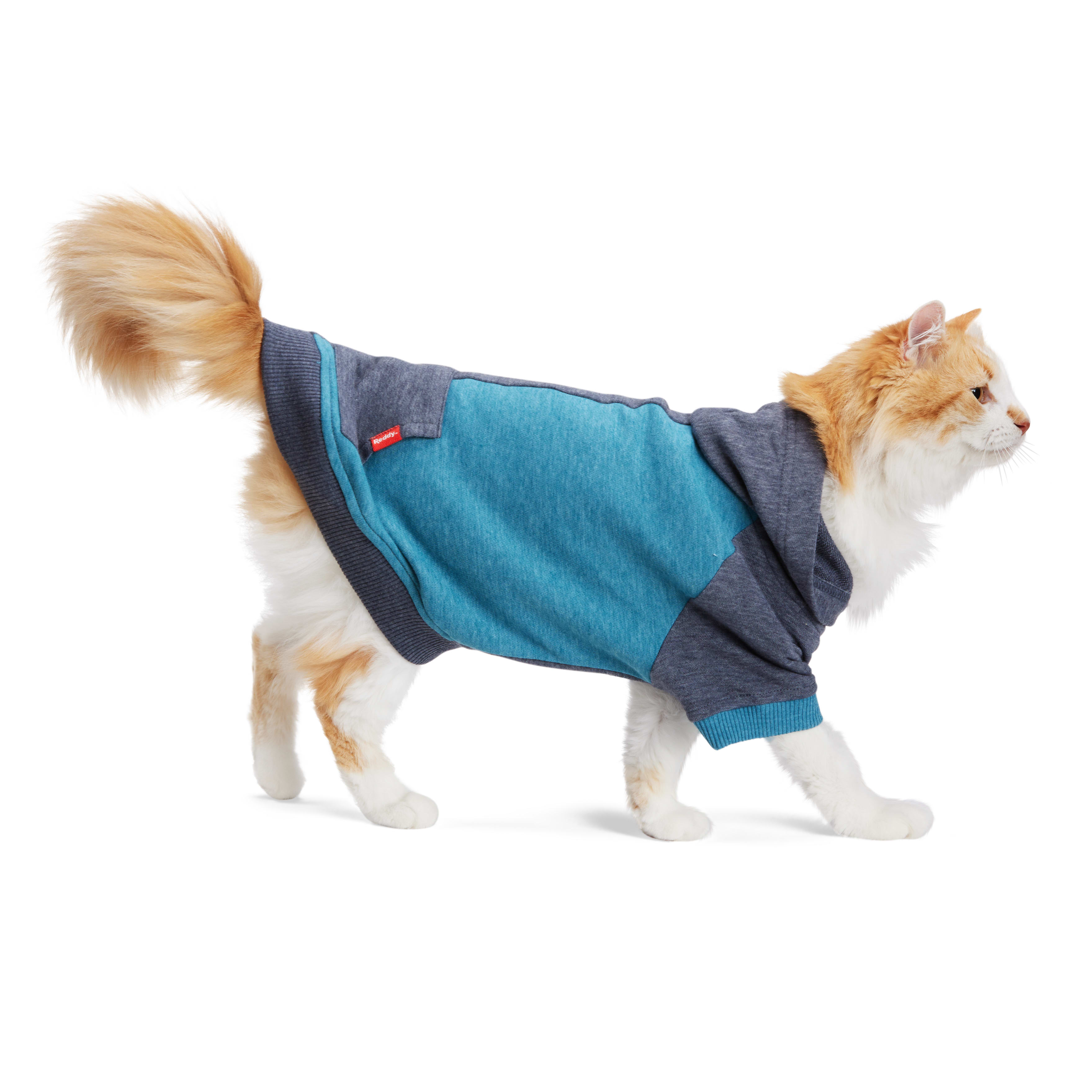 Reddy Teal Cat Hoodie， Small/Medium