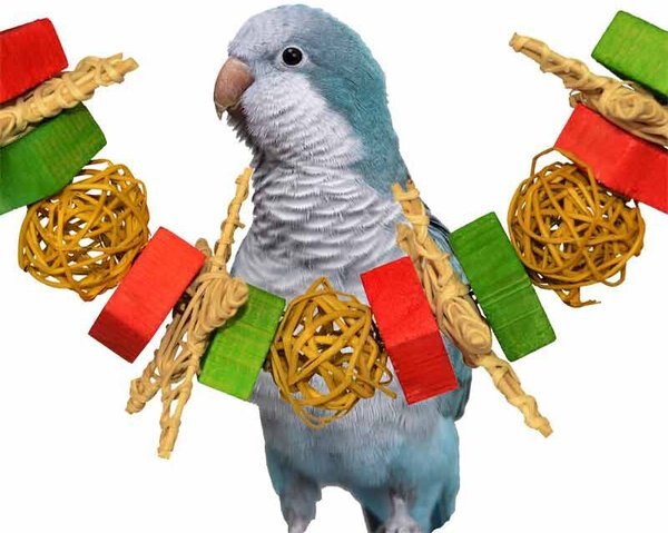 Super Bird Creations Xmas Garland Bird Toy