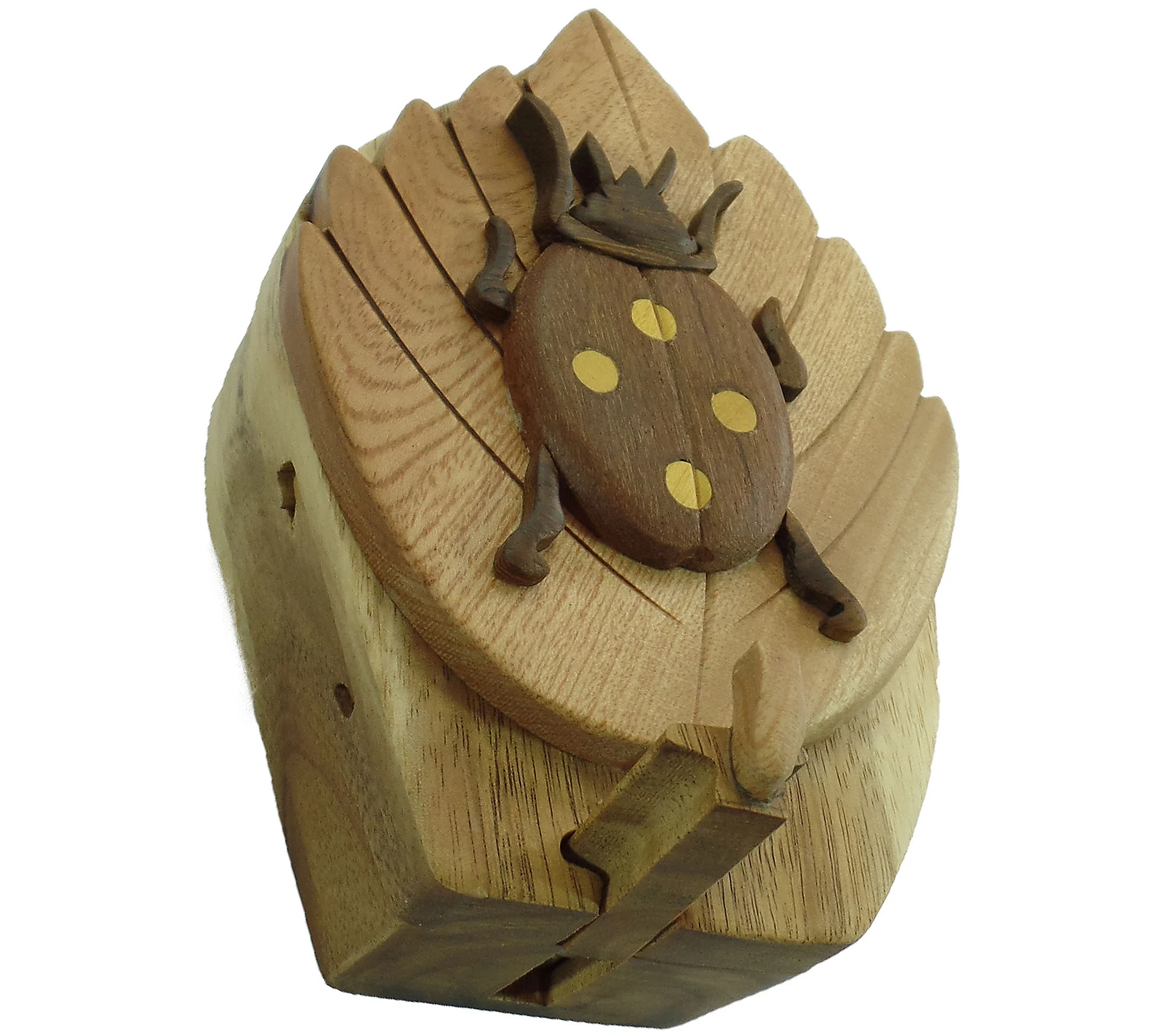 Carver Dan's Beetle Puzzle Box with Magnet Closures