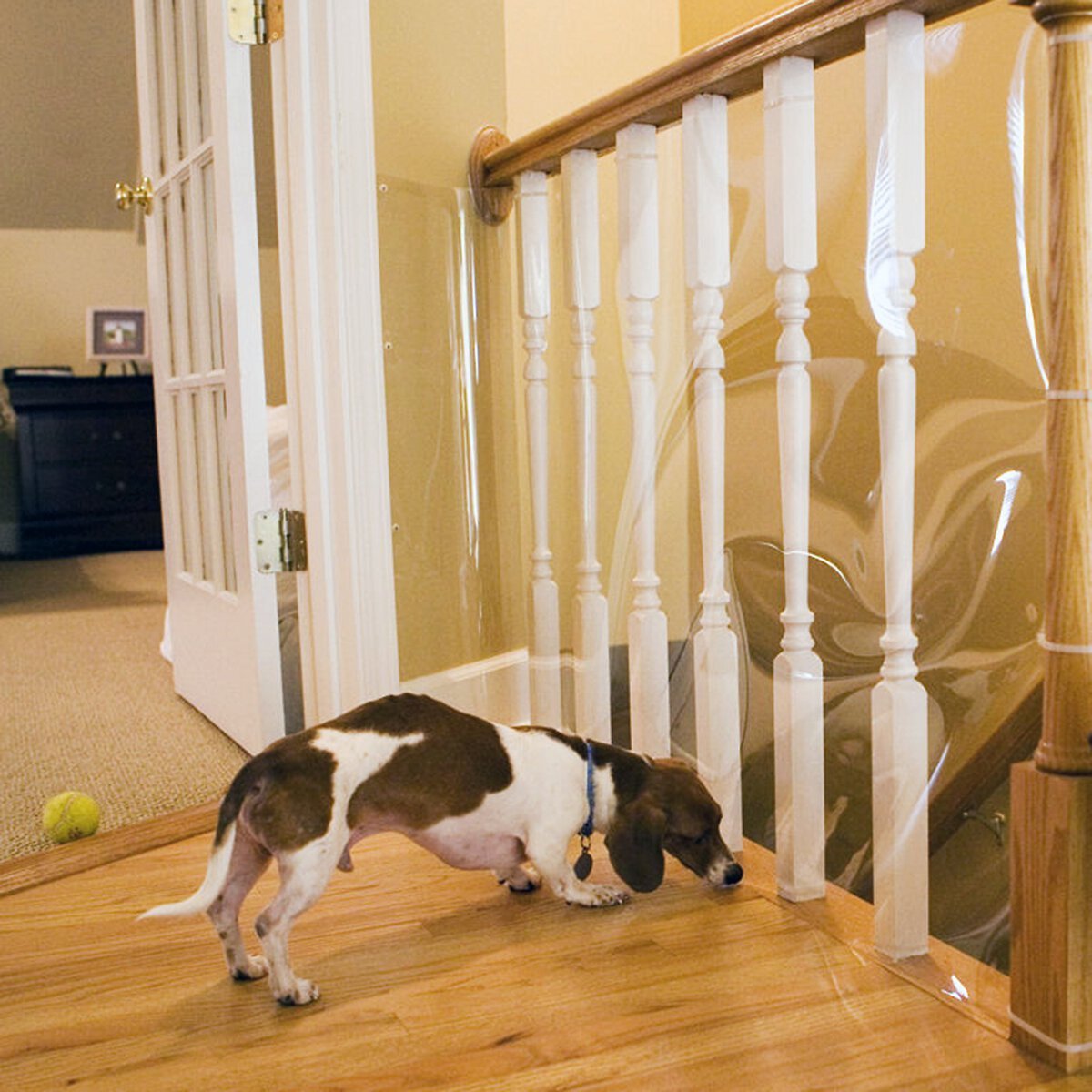 Cardinal Gates Indoor Banister Dog and Cat Shield Protector， Clear