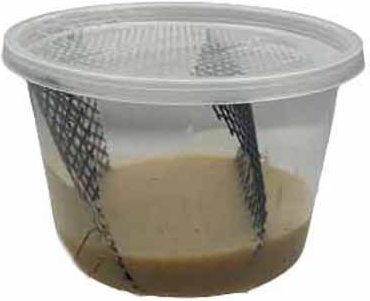 ABDragons Hornworm Food， 1-cup