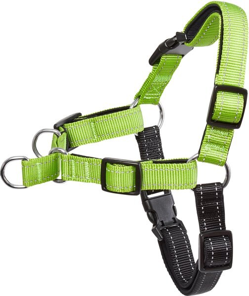 Frisco Padded Reflective No Pull Harness