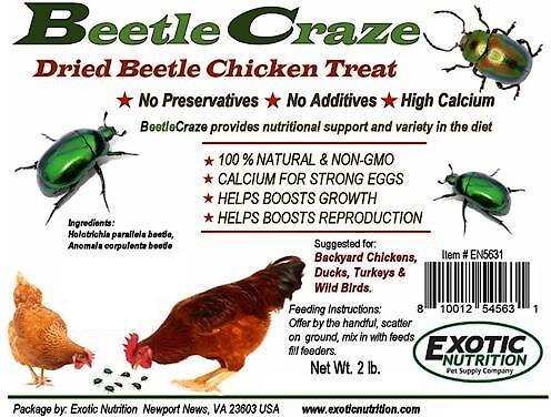 Exotic Nutrition Beetle Craze Bird Treats， 2-lbs bag