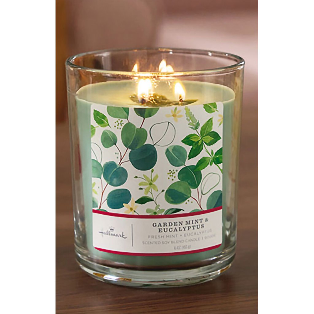 Hallmark   Garden Mint and Eucalyptus 3-Wick Jar Candle, 16 oz.