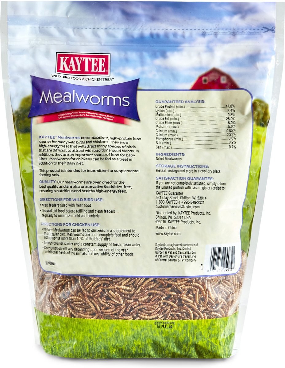 Kaytee Dried Mealworms Wild Bird and Chicken Treat