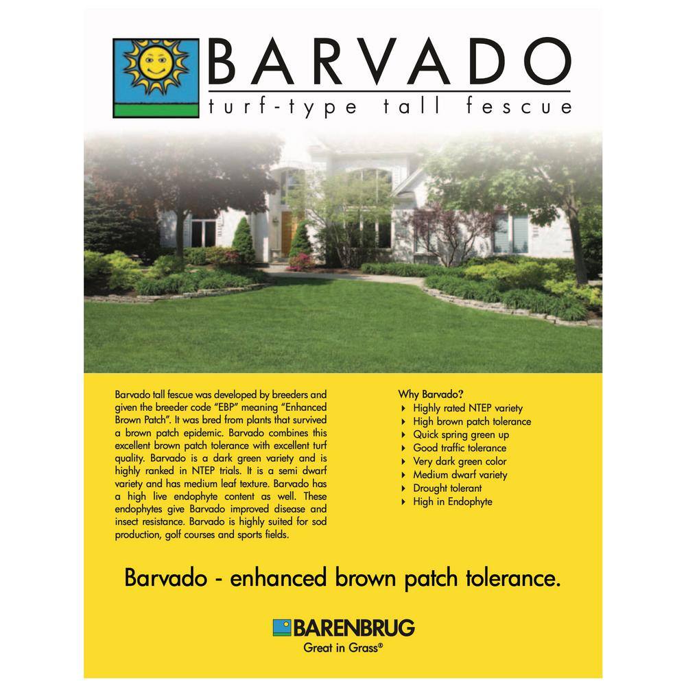 Barenbrug 50 lb. Barvado Tall Fescue Grass Seed 25079