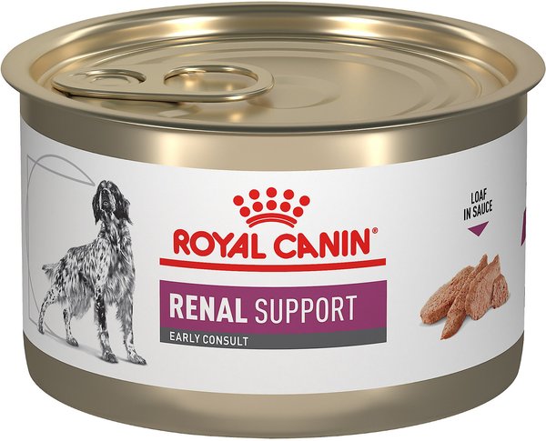 Royal Canin Veterinary Diet Adult Renal Support Early Consult Loaf in Sauce Canned Dog Food