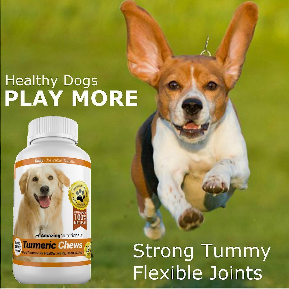 Amazing Nutritionals Turmeric Chews Daily Dog Supplement