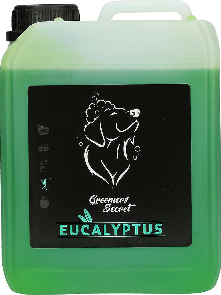 Eucalyptus Scented Cat Shampoo