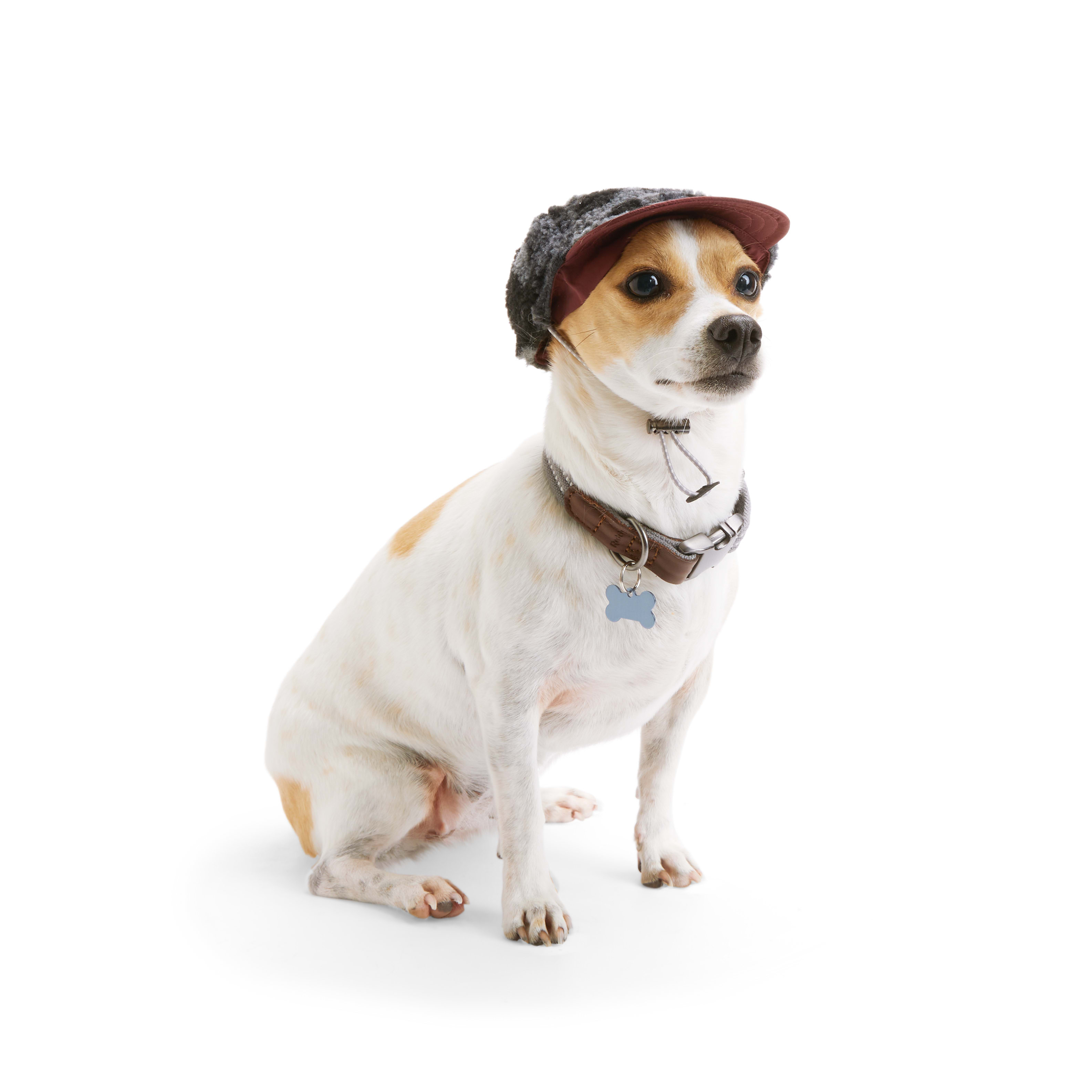 Reddy Sherpa Dog Hat， X-Small/Small