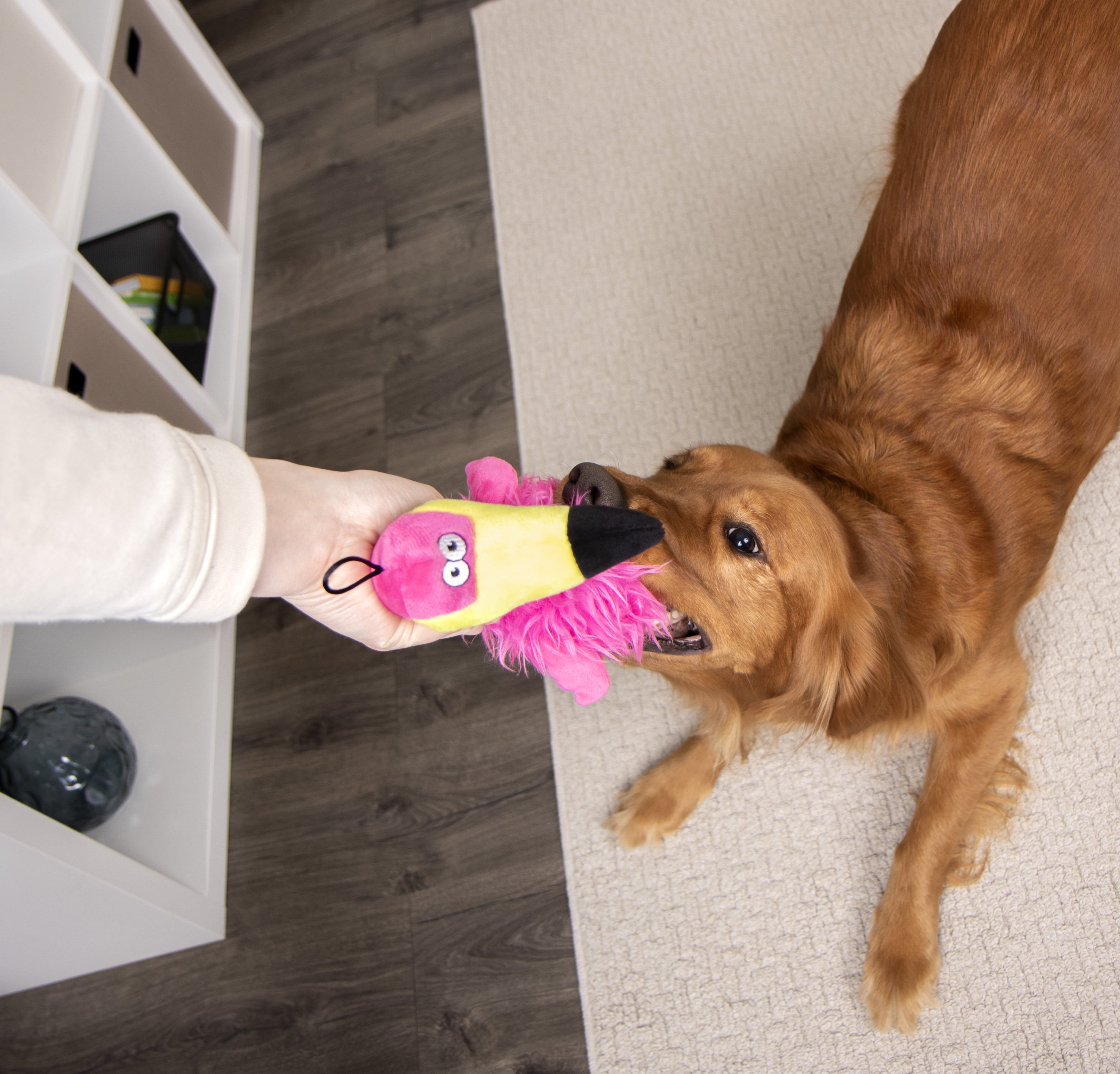 TrustyPup Flamingo Dog Toy with Soft Chew Resistant Plush， Large