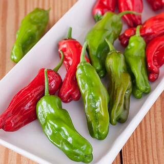 Bonnie Plants 19 oz. Shishito Pepper Plant 2705