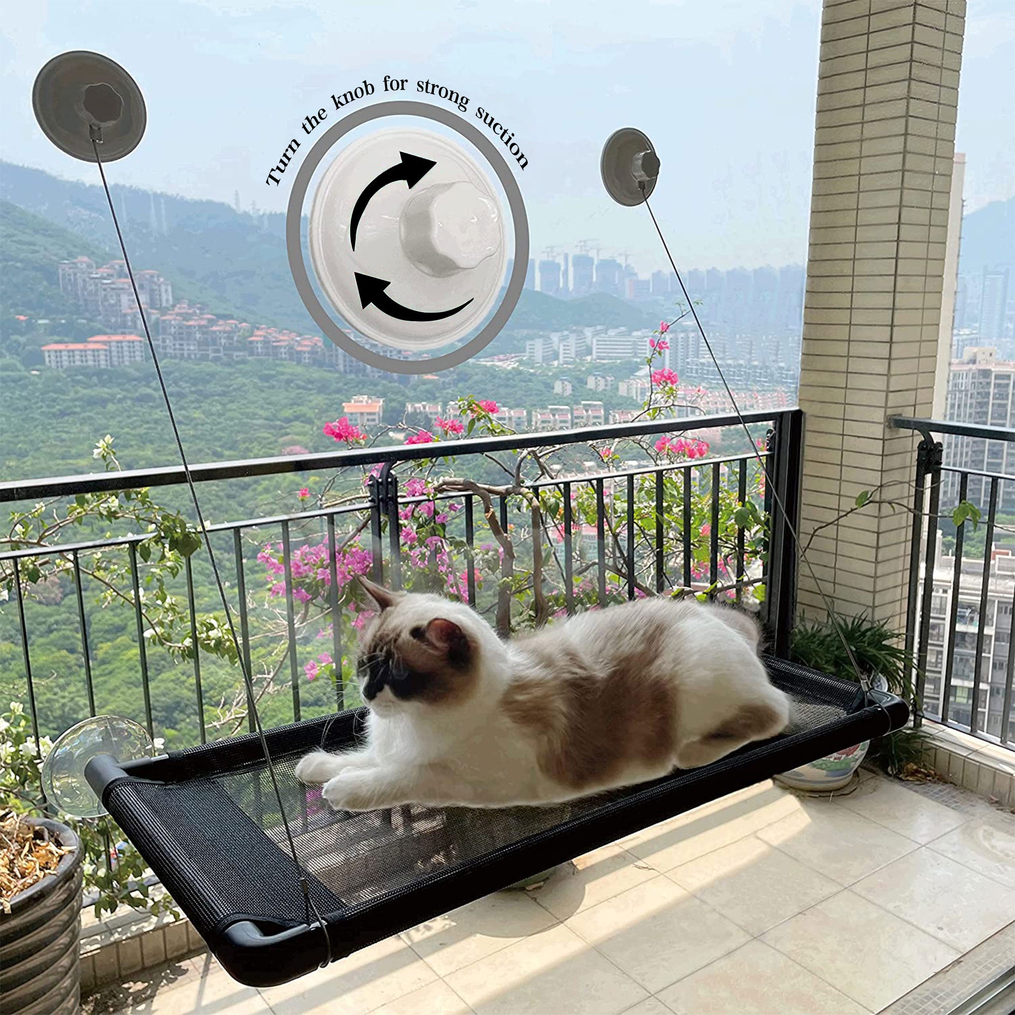 PUMYPOREITY Cat Window Perch， Cat hammocks with 4 Suction Cups， Cat Bed 360° Sunbathe， Cat Resting Seat， Breathable Mesh