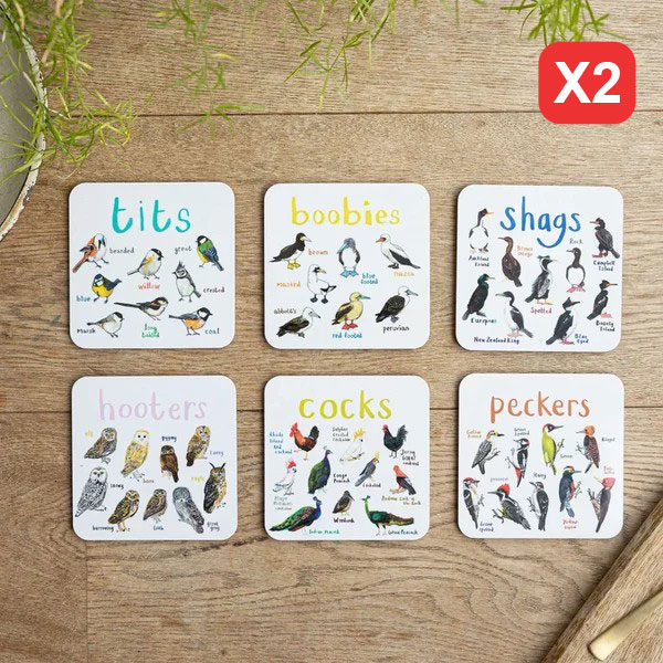 49% OFF🐦Set of 6 Bird Pun Coasters