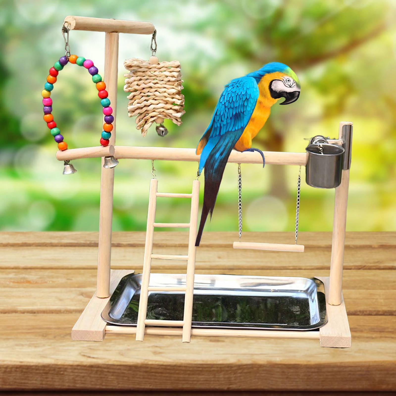 Pet Parrot Play Stand Parrots Bird Playground Perch Gym Playpen Ladder with Feeder Cups Bells for Cockatiel Parakeet