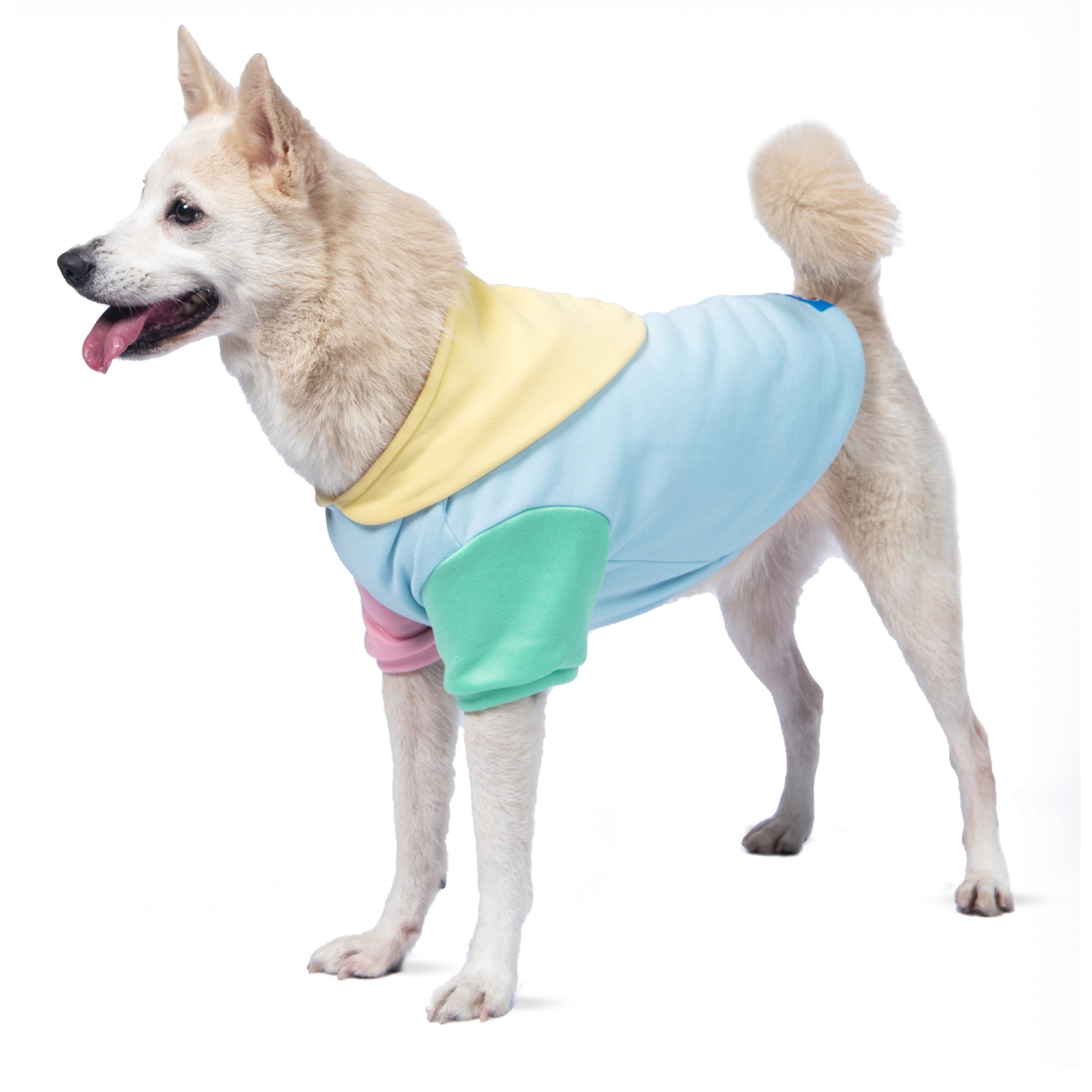 The Dodo Pastel Colorblock Dog Hoodie - Medium