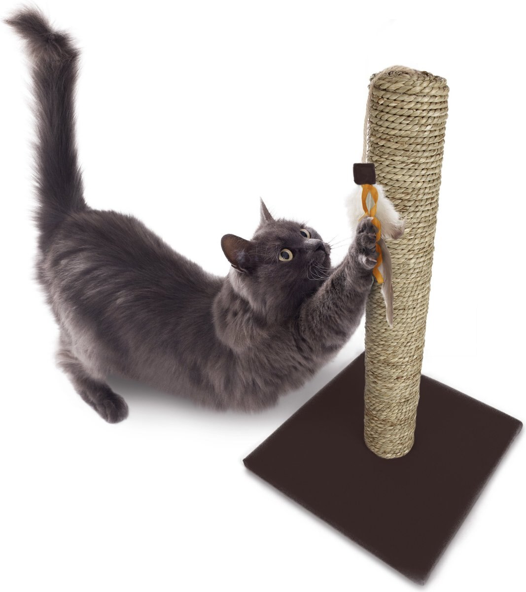 SmartyKat Simply Scratch Seagrass Cat Scratch Post with Feather Cat Toy