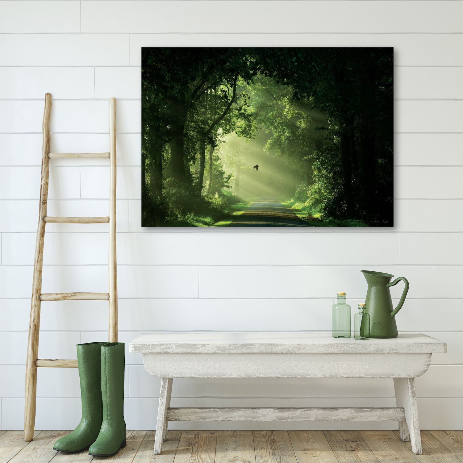 COURTSIDE MARKET Emerald Forest Canvas Wall Art