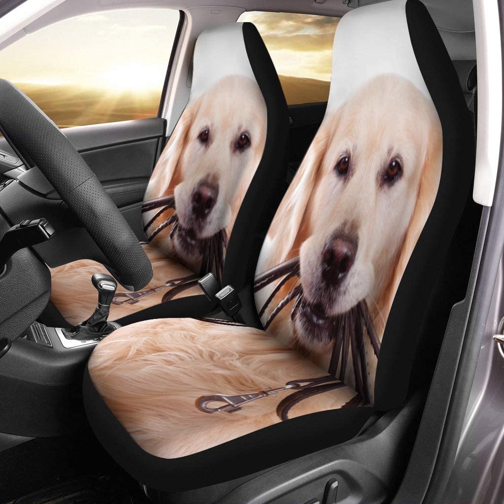 FMSHPON Set of 2 Car Seat Covers Brown White Golden Retriever Dog on Pet Cute Universal Auto Front Seats Protector Fits for Car，SUV Sedan，Truck