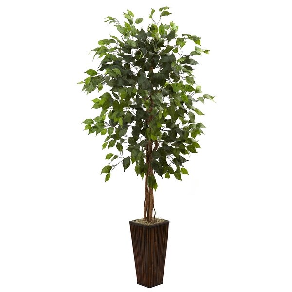 5.5' Ficus Tree w/Bamboo Planter