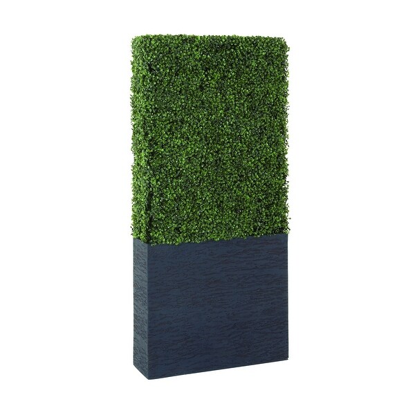 Exclusive and Utmost Beautiful Boxwood Hedge