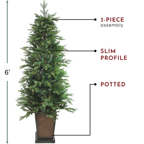 6' PreLit Potted Oregon Noble Fir Slim Artificial Christmas Tree