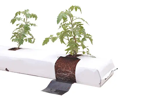 Indias Original Finest Coir Grow Bag Manufacturers Revealed Sustainable Gardening with Coco Peat Grow Bags in India