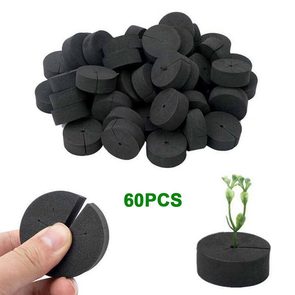 ASCZOV 60pcs/pack Plants Growth Vegetables Hydroponic System Balcony EVA Cloning Collar