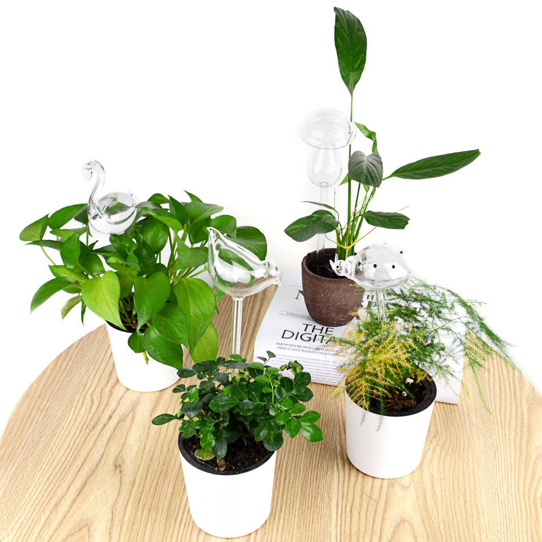 TOPNEW 4 Pack Plant Waterer Self Watering Globes