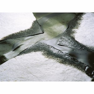 SpillTech Oil Only Responder  Pads (WP200S)