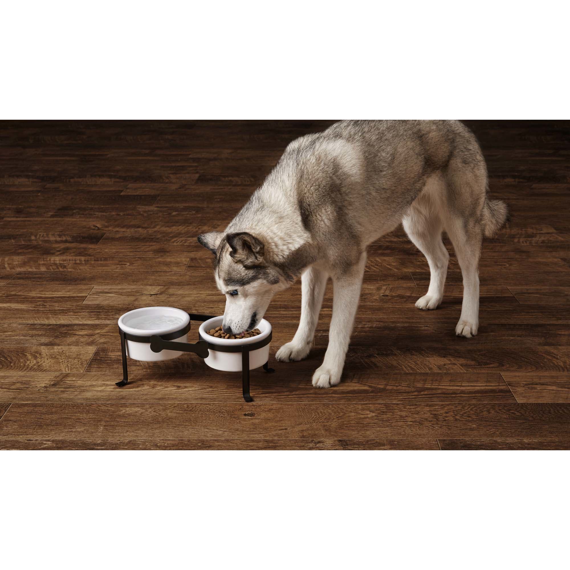 Harmony Iron Double Diner with Ceramic Dog Bowls， Large